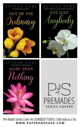PreMade Series Covers ID#082017SB01 (Out of the Ordinary Trilogy, Only Sold as a Set)