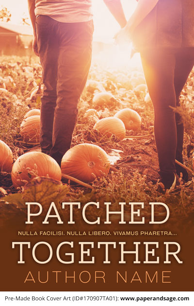 Pre-Made Book Cover ID#170907TA01 (Patched Together)