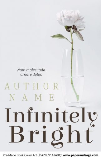 Pre-Made Book Cover ID#200914TA01 (Infinitely Bright)