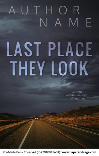 Pre-Made Book Cover ID#201004TA01 (Last Place They Look)